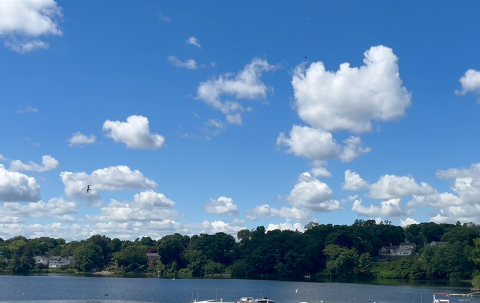 【ボストン日記】美しく咲き続けるための「静寂の儀式」。Mystic Lakesに学ぶ、夜のリセット術